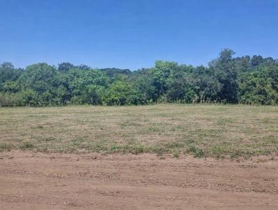 Terreno para Venda, em Ca�apava do Sul, bairro COXILHA DE S�O JOS�
