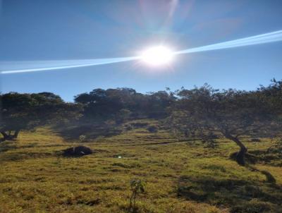 Terreno para Venda, em Sorocaba, bairro Vila Bar�o