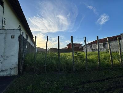 imagem-miniatura