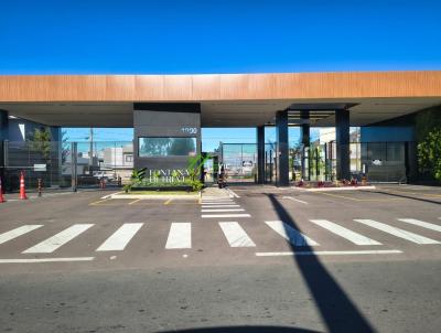 imagem-miniatura