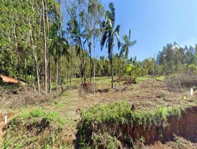 Terreno para Venda, em Rodeio, bairro Kaspereit