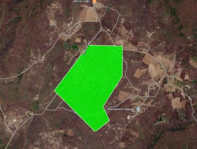 Terreno para Venda, em Cocal, bairro Zona Rural