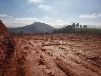 Terreno para Venda, em Juiz de Fora, bairro Santa Cruz