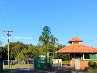 Ch�cara para Venda, em Martin�polis, bairro Portal das Palmeiras, 2 dormit�rios, 2 banheiros, 2 vagas