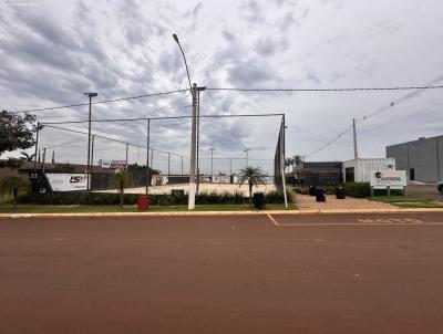 imagem-miniatura
