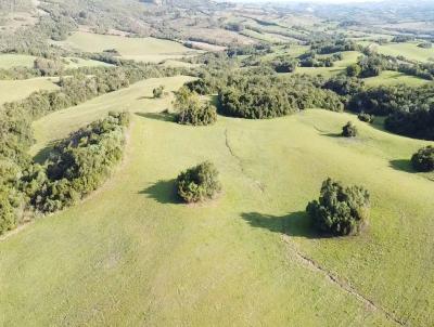 �rea Rural para Venda, em Cangu�u, bairro 4� Distrito de Cangu�u