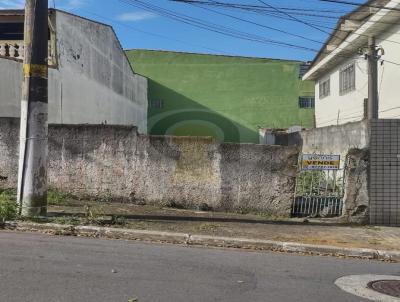 Terreno para Venda, em S�o Paulo, bairro Jardim Santa Ad�lia