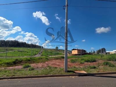 imagem-miniatura