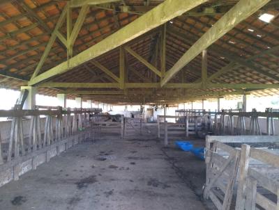 S�tio para Venda, em Angatuba, bairro Bairro dos Tavares