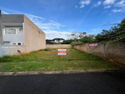 Terreno Residencial para Venda, em Fazenda Rio Grande, bairro Santa Terezinha