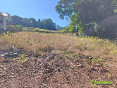 Terreno para Venda, em Tr�s Passos, bairro Loteamento Monte Claro