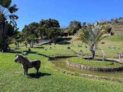 imagem-miniatura