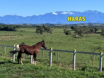 imagem-miniatura