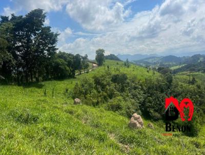 imagem-miniatura