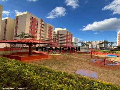 imagem-miniatura