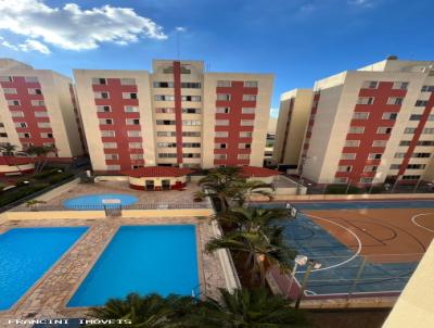 imagem-miniatura