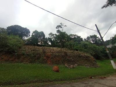 imagem-miniatura