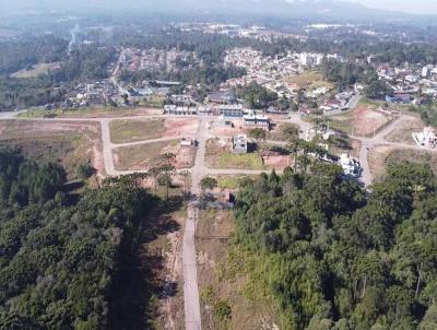 Terreno para Venda, em Quatro Barras, bairro Centro