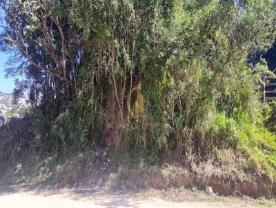 Terreno para Venda, em S�o Jos� dos Pinhais, bairro Del Rey