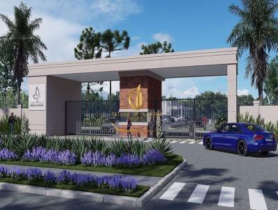 Terreno para Venda, em Cidade inexistente, bairro Bairro inv�lido