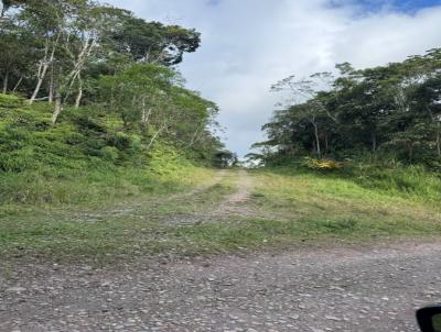 Terreno para Venda, em Ribeir�o Pires, bairro Represa