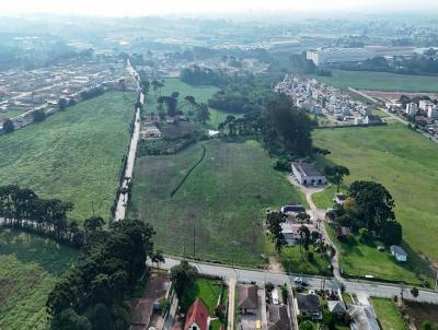 Casa para Loca��o, em S�o Jos� dos Pinhais, bairro Costeira