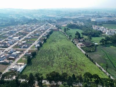 Casa para Loca��o, em S�o Jos� dos Pinhais, bairro Costeira