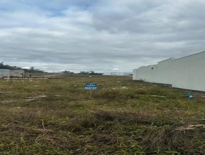 Terreno para Venda, em Ven�ncio Aires, bairro coronel brito