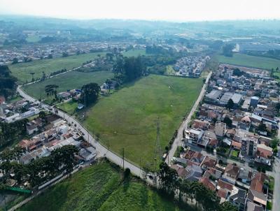 Casa para Loca��o, em S�o Jos� dos Pinhais, bairro Costeira