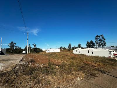 Terreno para Venda, em Ven�ncio Aires, bairro coronel brito