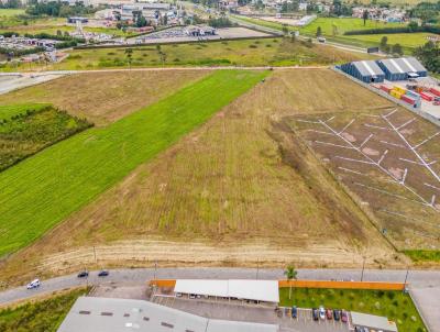 �rea Comercial para Loca��o, em S�o Jos� dos Pinhais, bairro Col�nia Murici