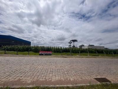 �rea Comercial para Loca��o, em S�o Jos� dos Pinhais, bairro Col�nia Murici