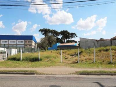 �rea Comercial para Venda, em S�o Jos� dos Pinhais, bairro Planta Quississana
