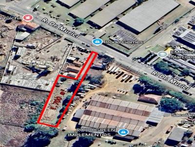 �rea Comercial para Loca��o, em S�o Jos� dos Pinhais, bairro Col�nia Murici
