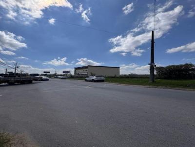 �rea Comercial para Loca��o, em S�o Jos� dos Pinhais, bairro Col�nia Murici