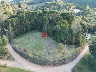 Ch�cara para Venda, em Tijucas do Sul, bairro S�o Jo�o - Lagoa