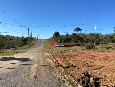 Terreno para Venda, em Tijucas do Sul, bairro Centro