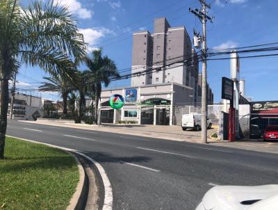 imagem-miniatura