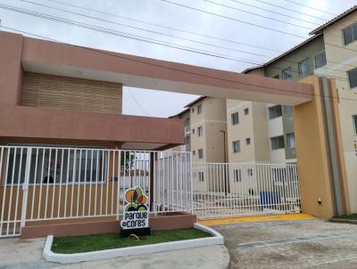 imagem-miniatura