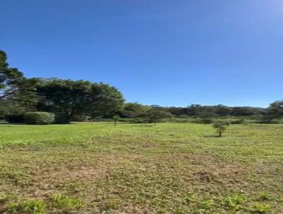 Terreno Industrial para Venda, em Ribeir�o Pires, bairro Ouro Fino Paulista, 2 dormit�rios, 3 banheiros, 99 vagas