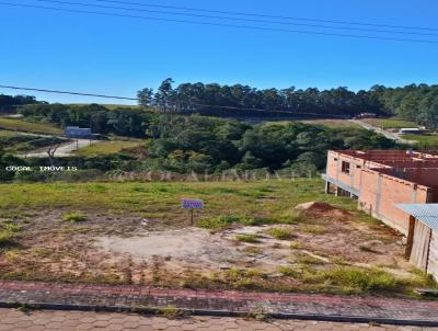 Lote para Venda, em Cocal do Sul, bairro 