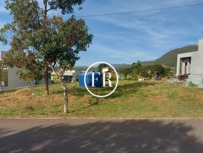 imagem-miniatura