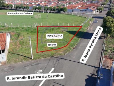 imagem-miniatura