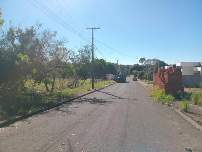 Terreno para Venda, em Paranava�, bairro Vila City