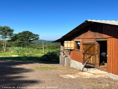 S�tio / Ch�cara para Venda, em Dois Irm�os, bairro Travess�o