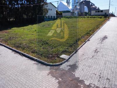 Terreno para Venda, em Soledade, bairro Botucara�