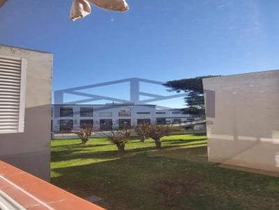imagem-miniatura
