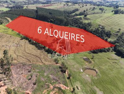 Ch�cara para Venda, em Alfredo Marcondes, bairro �rea Rural