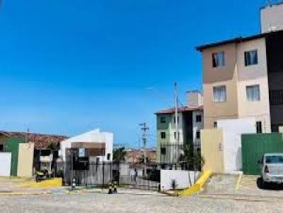 imagem-miniatura