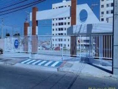 imagem-miniatura
